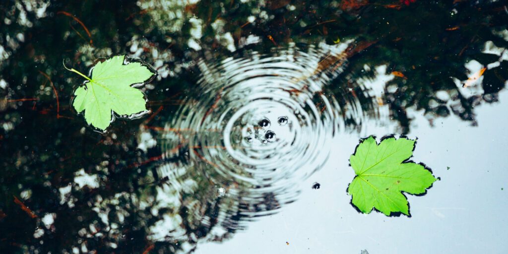 Feeling Affected by Someone Else’s Gambling?